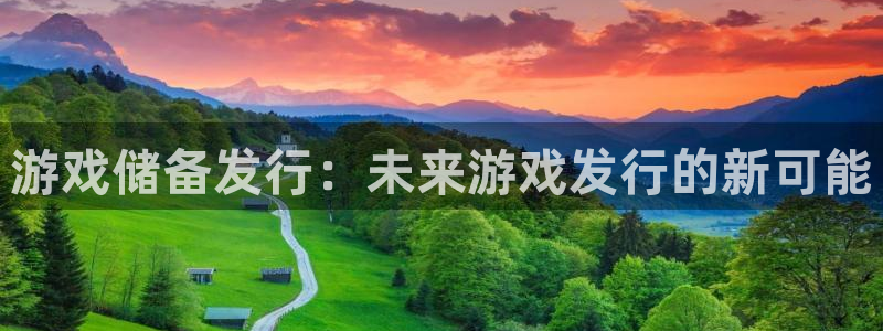 深圳雷火竞技电商：游戏储备发行：未来游戏发行的新可能