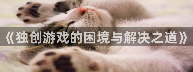 雷火电竞客服招聘：《独创游戏的困境与解决之道》