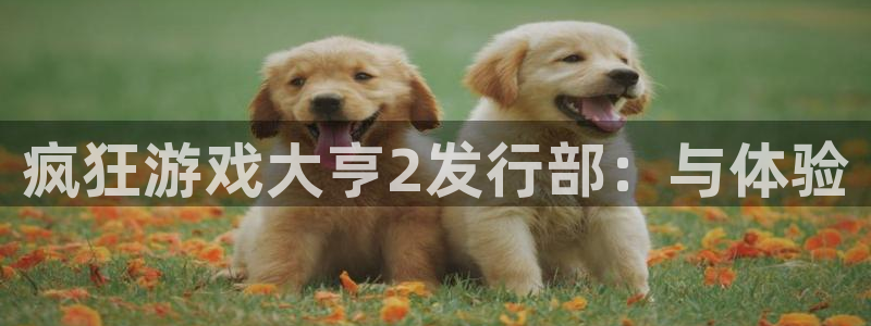 雷火电竞代理注册：疯狂游戏大亨2发行部：与体验