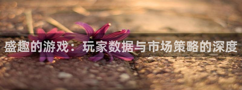 lvnces雷火竞技衣服价格：盛趣的游戏：玩家数据与市场策略的深度