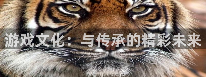 雷火竞技注册开户