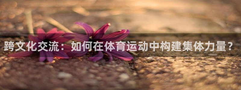 必一运动