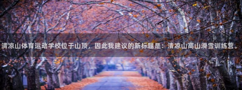 必一运动体育官网
