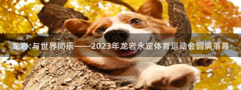 必一运动体育
