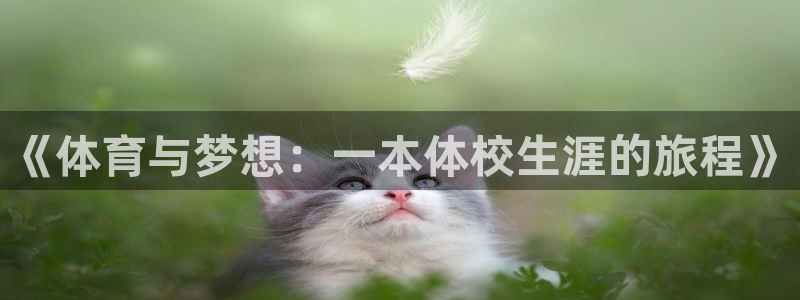 bsport必一运动