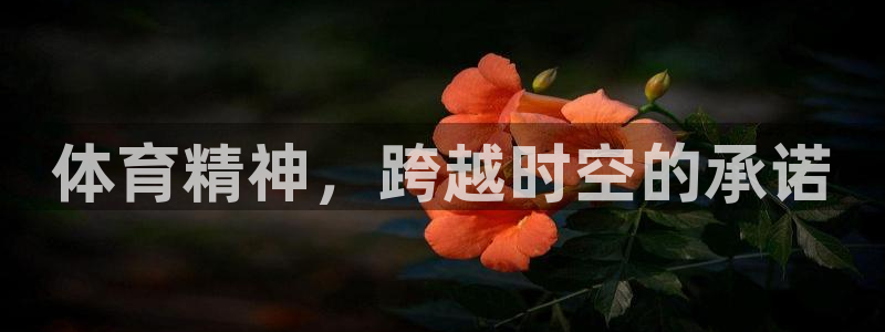 必一运动app