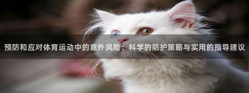必一运动官网入口