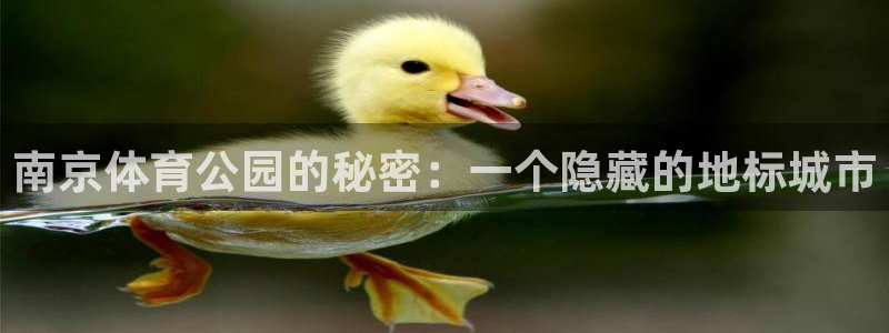 必一运动bsport体育