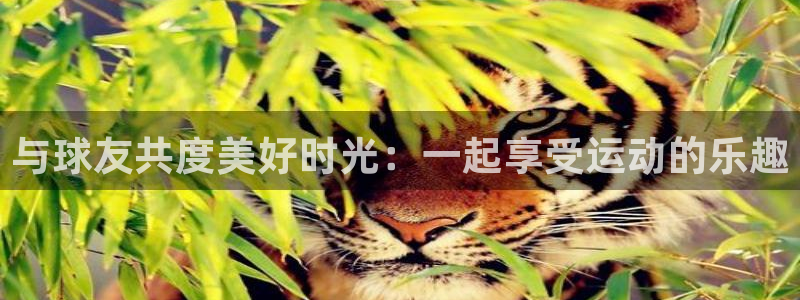 必一运动体育